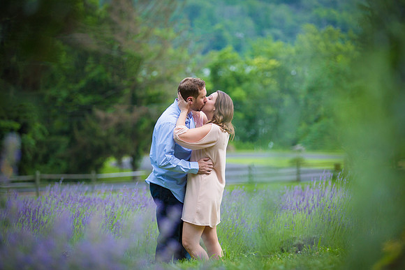 Engagement shoot, Peace Valley Lavender Farm, Doylestown, PA