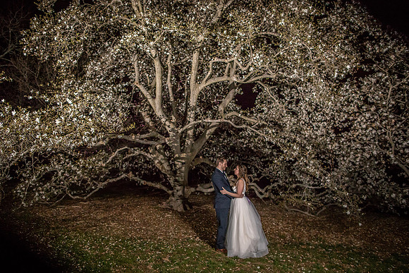 Tyler Arboretum, PA wedding under the cherry blossoms at night
